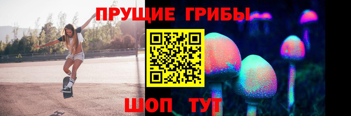 Острогожск  Псилоцибиновые грибы GOLDEN TEACHER  Вход с VPN 